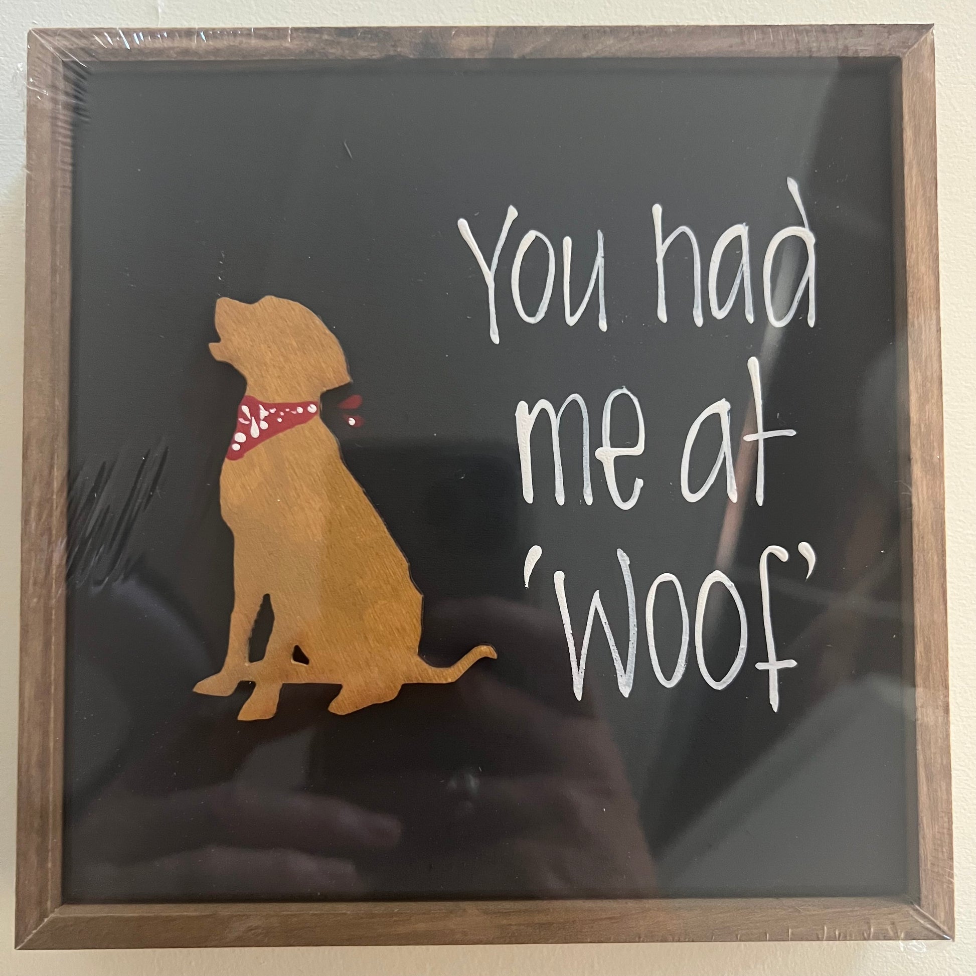 Loved Dog Lives Here 6x6